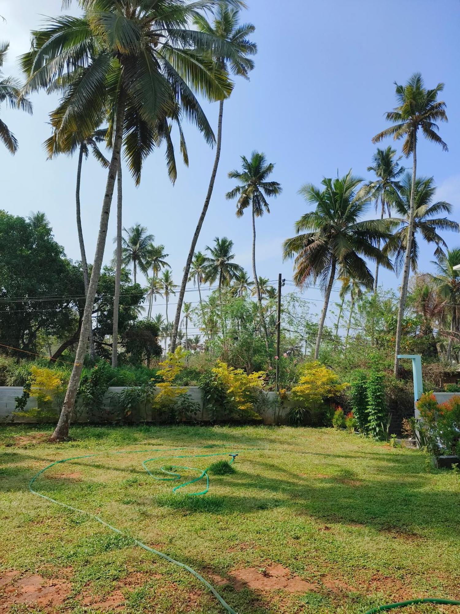 Popple Beach House Varkala Eksteriør billede